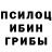 Псилоцибиновые грибы Psilocybe Patsan Chetki