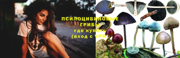 ALPHA PVP Бородино