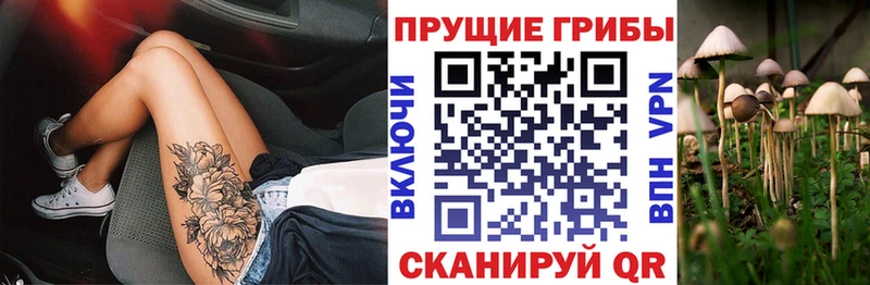 Псилоцибиновые грибы прущие грибы  как найти закладки  Гурьевск 